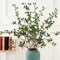 43" Artificial Greenery Stems Plants Faux Leaf Green Eucalytus Branches Ficus Twig Fern Fake Green Bushes Shrubs for Home Party Wedding Decoration 20"D x 12"W x 43"H (4 Pack)